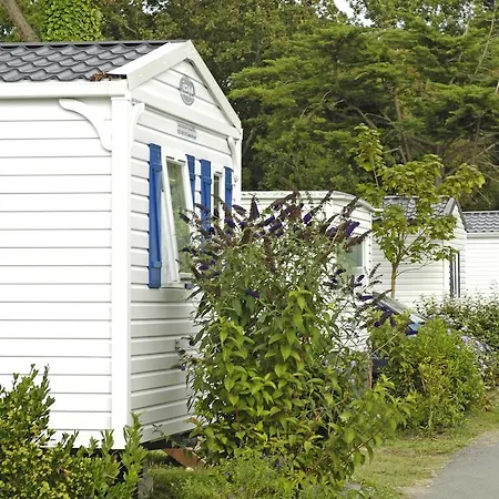 Campsite Camping Les Cabanes D'oleron 4*